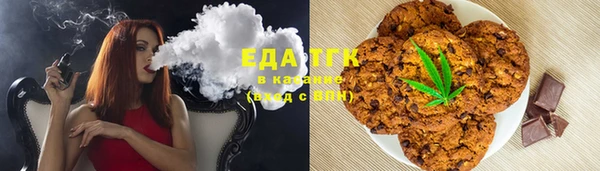 хмурый Абаза