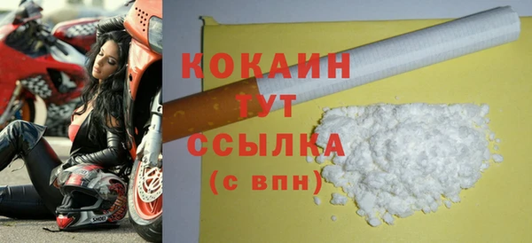 хмурый Абаза