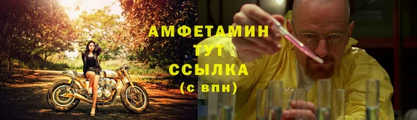 хмурый Абаза