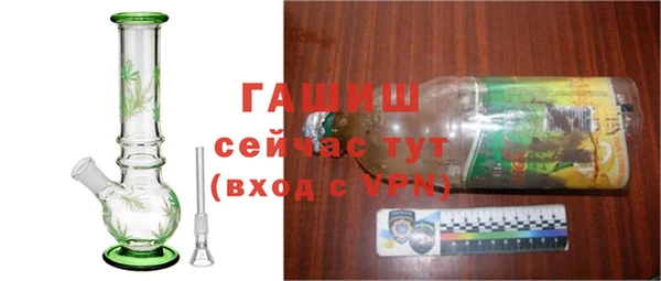 хмурый Абаза