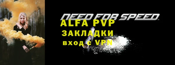 стафф Алексин