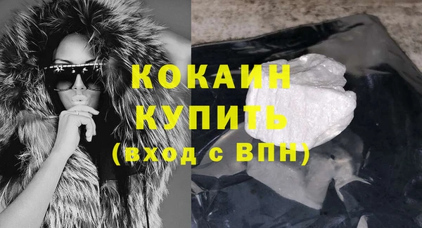 хмурый Абаза