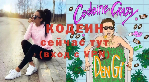 хмурый Абаза